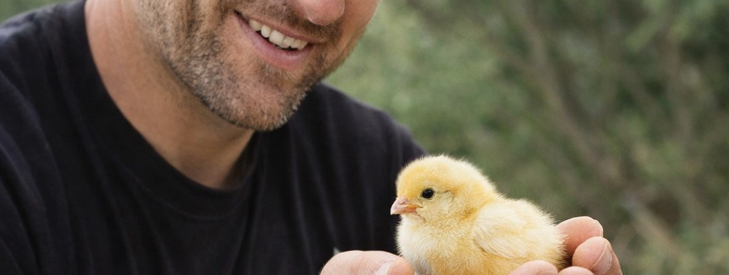 Keltetőgépek a HeatControll Kft.-től