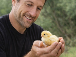 Keltetőgépek a HeatControll Kft.-től