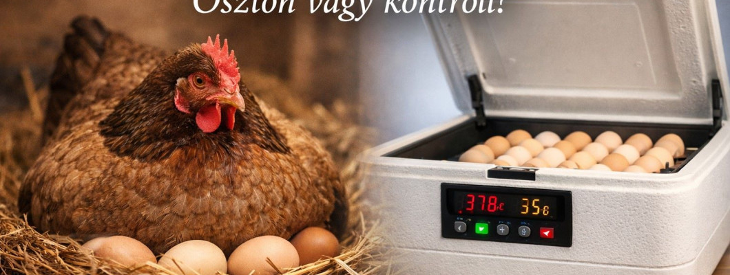 Mennyi áramot fogyaszt egy keltetőgép?