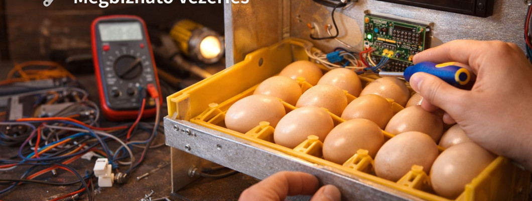 Biztos alapokra építve – miért nem érdemes kockáztatni a keltető vezérlésénél?