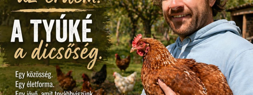 A gazdáé az érdem. A tyúké a dicsőség.