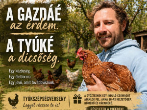 A gazdáé az érdem. A tyúké a dicsőség.