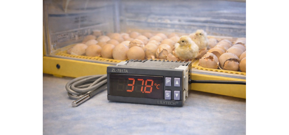 Keltetőgép vezérlés