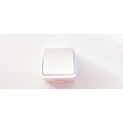 JANTAR, KÉTPÓLUSÚ KAPCSOLÓ, CSAPFEDELES, IP44, FEHÉR